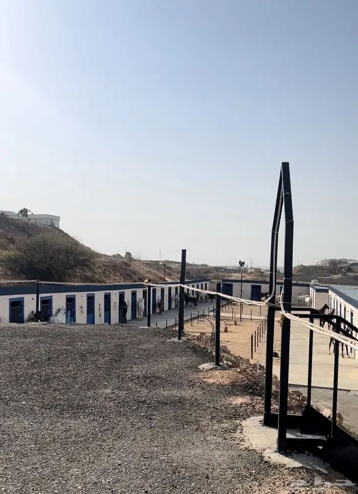 نادي ارياف الجنوب للفروسية 2
