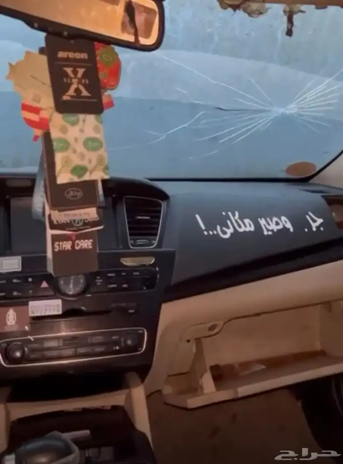 كادينزا 2017 7