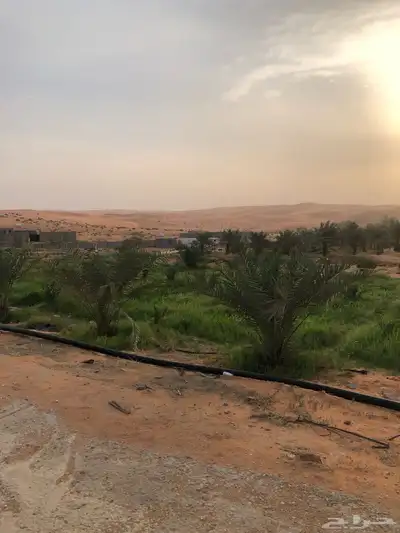 للبيع ( مزرعة وملحقاتها ) المزاحمية index