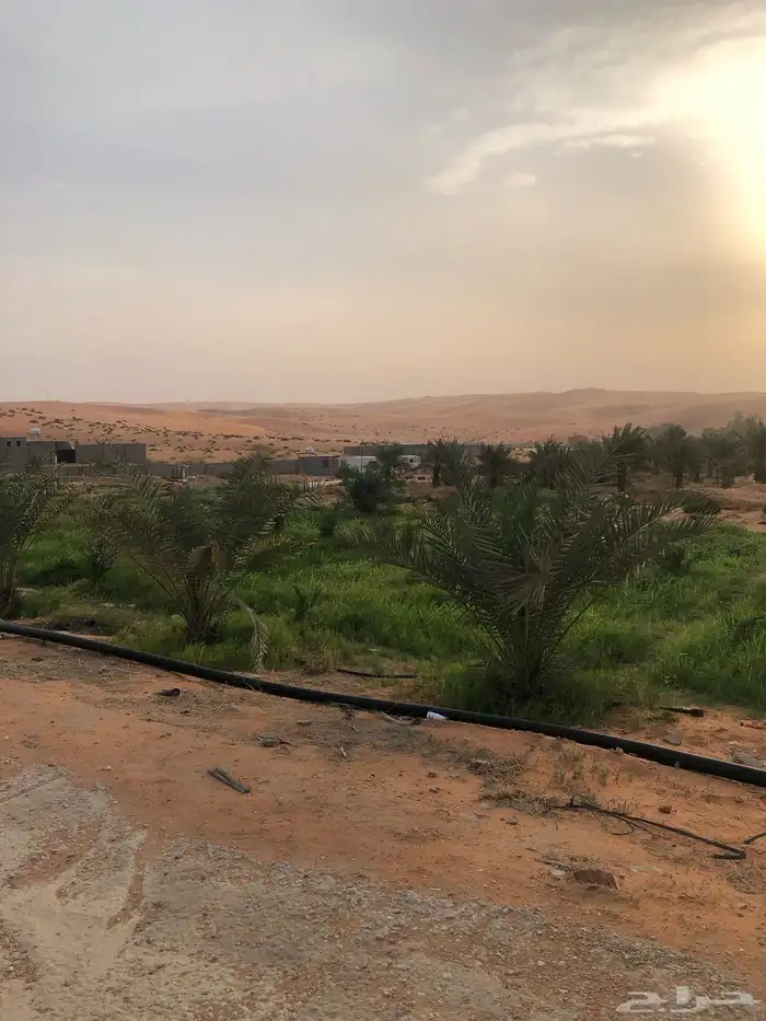 للبيع ( مزرعة وملحقاتها ) المزاحمية 10