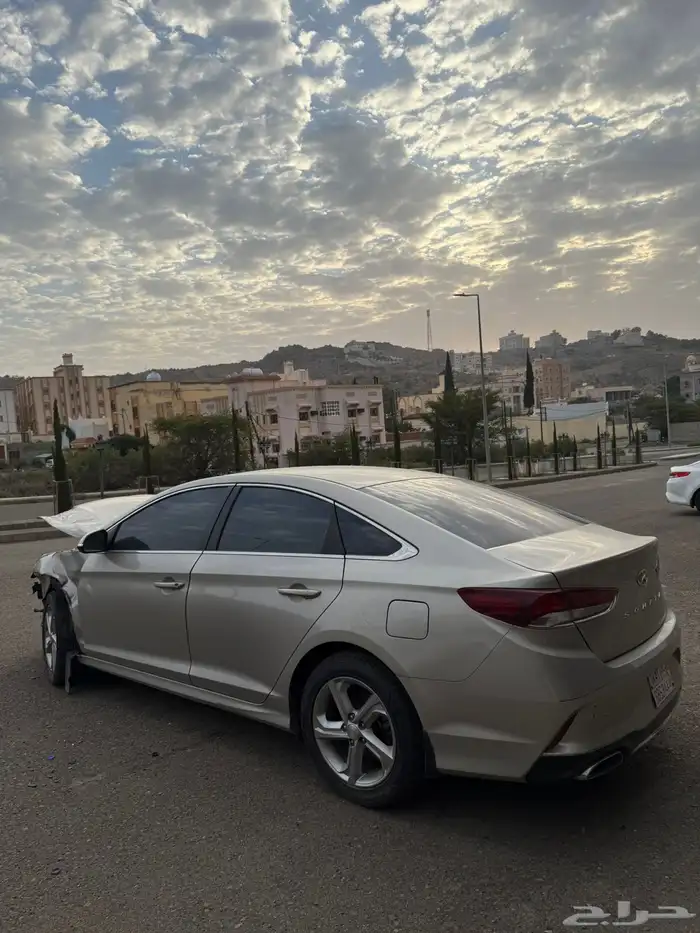 سوناتا 2019 مصدوم والاضرار خفيفه 0
