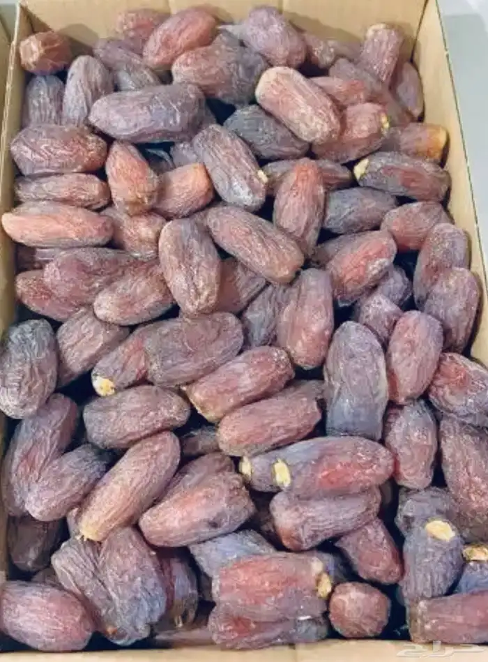 تمر مجدول فاخر للبيع 0