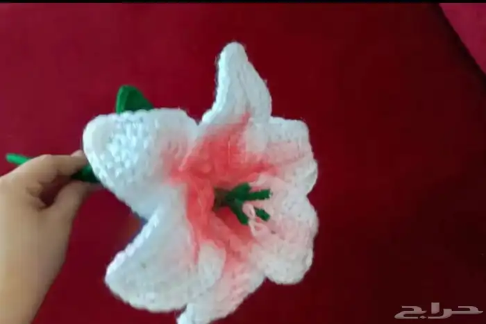 ورود من الكروشيه وتوزيعات لليوم الوطني 4