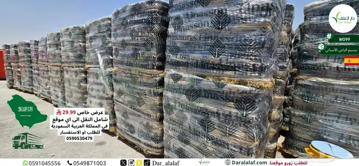 برسيم اسباني ب 29.99 0