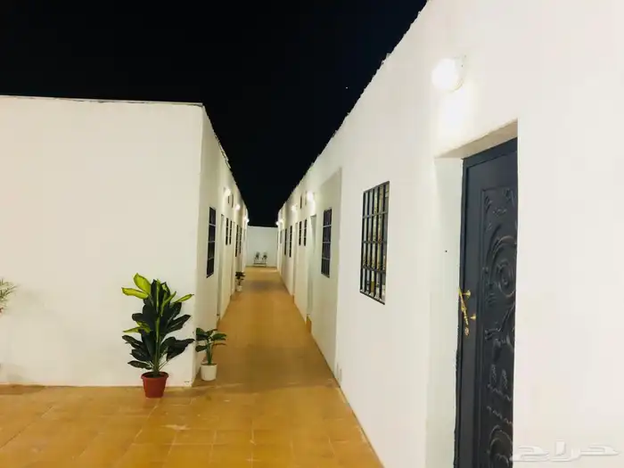 غرف عزاب استديو للايجار 0