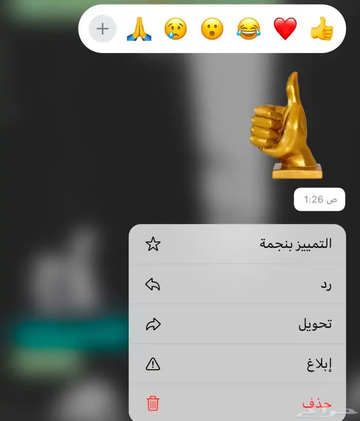 سمن بقر   بلدي مضمون 4