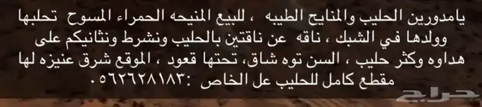 يامدورين المنايح يأهل الحليب طلبكم موجود 0