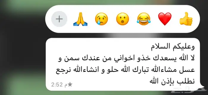 سمن بقر   بلدي مضمون 3