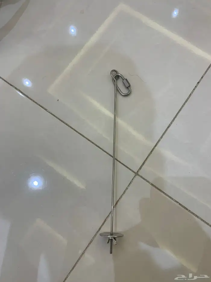 ببغاء روز  زوج 8