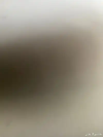 شويل الايجار 0