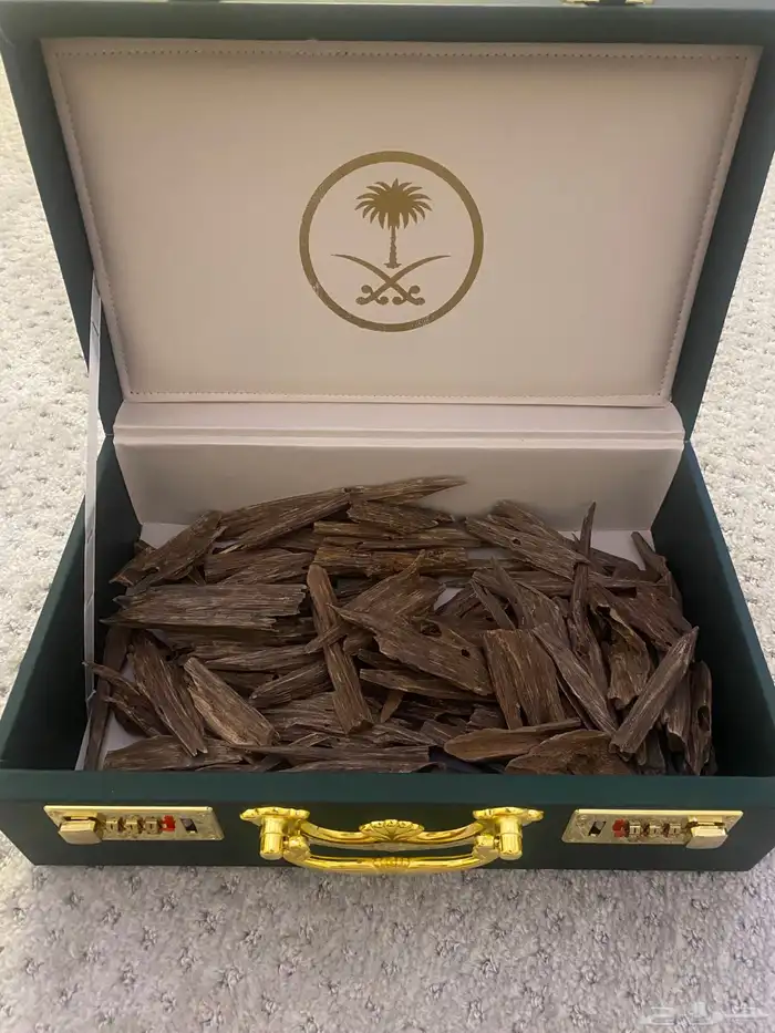 عودة طبيعي 0
