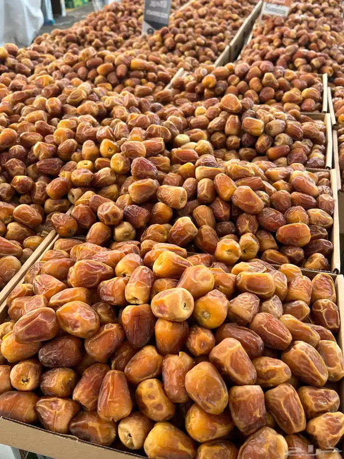 سكري مفتل وجلاكسي حياكم الله التوصيل مجاني 1