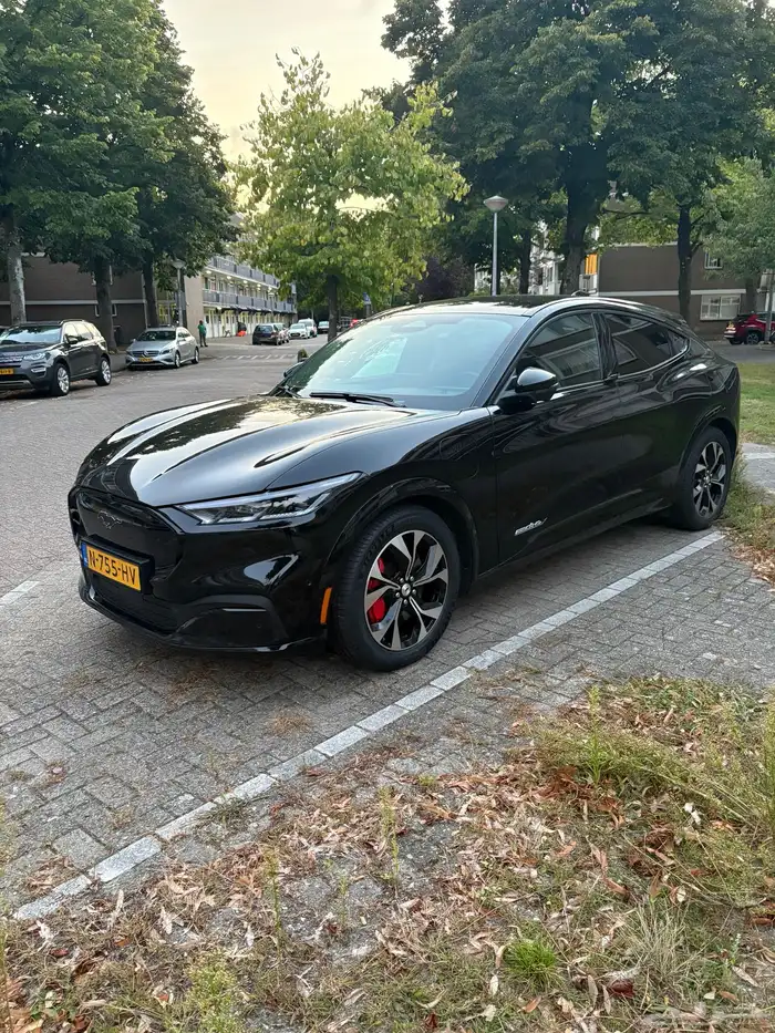 سائق ومرشد سياحي امستردام 1