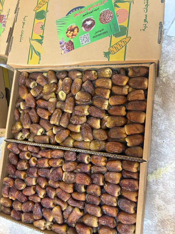 برني 1