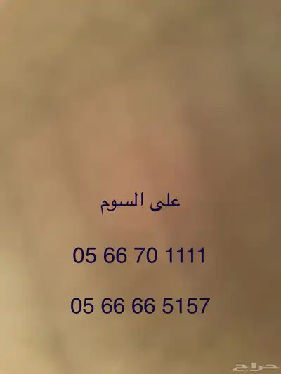 ارقام مميزة للبيع 0
