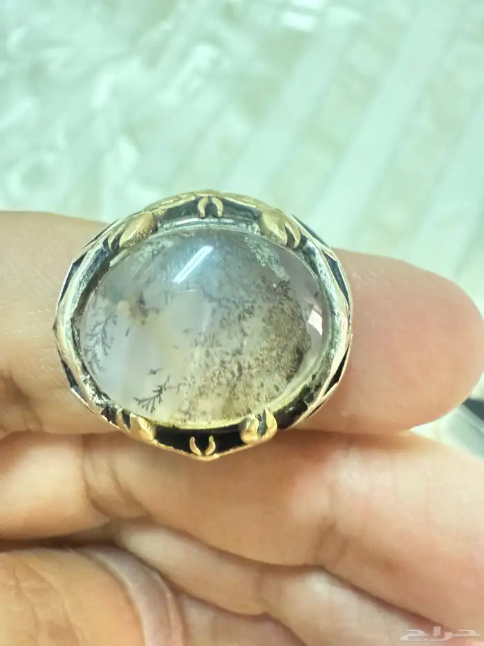 حاتم عقيق يمني 5