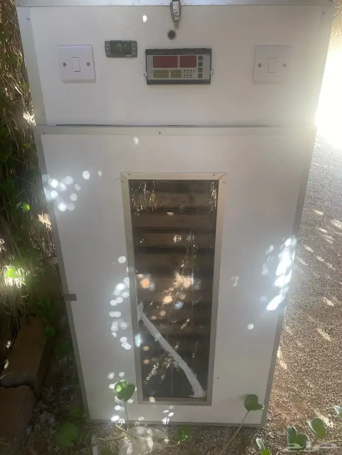 مشروع دواجن 28