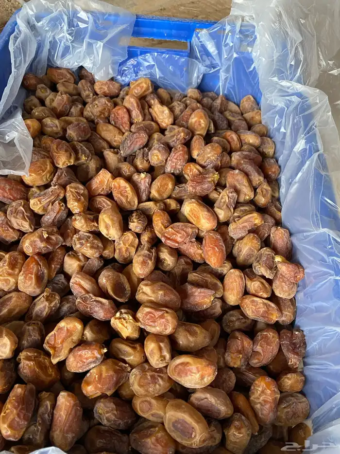 تمر خلاص نظيف 2