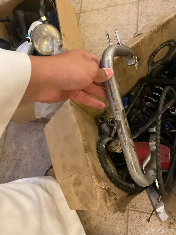 قطع بانشي. و رابتر كله مستخدم 10