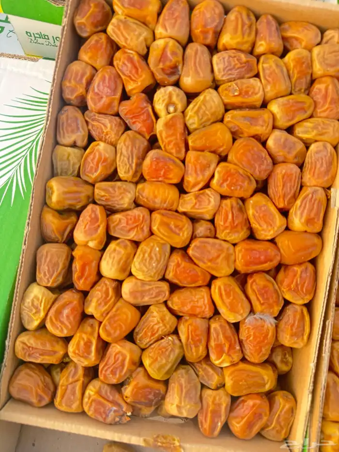 تمر رطب سكري فاخر 2