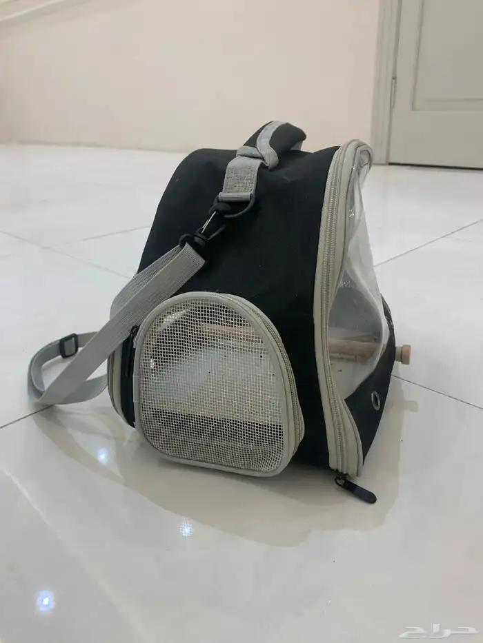 ببغاء روز  زوج 6