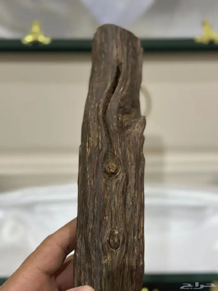 قطعة عود هندي دبل و تربل سوبر . (العرض الأول) 2