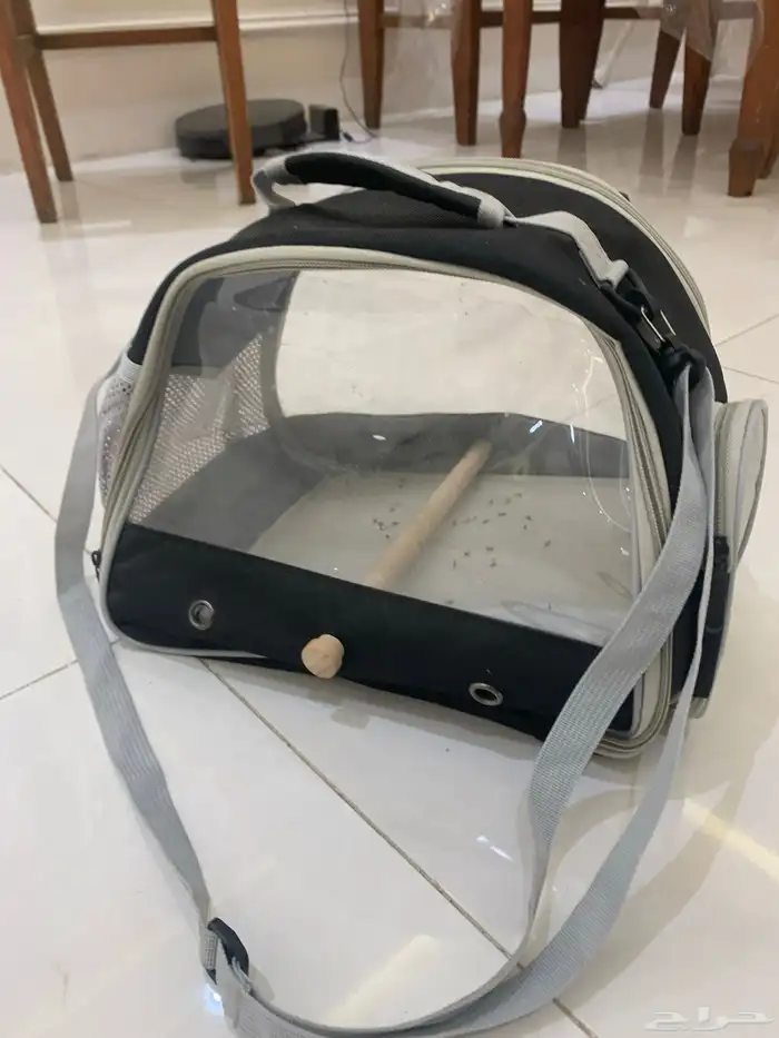 ببغاء روز  زوج 7