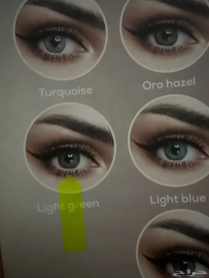 عدسات سنوية 2