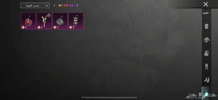 حساب ببجي 10