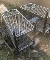 مصيده قطط 3
