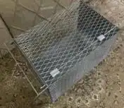 مصيده قطط 2