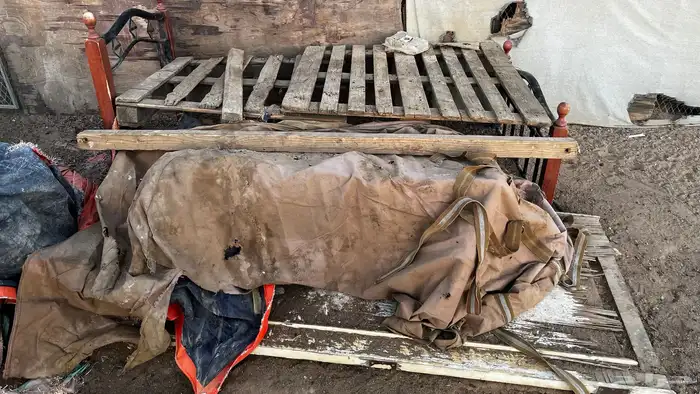دعامية باترول 5