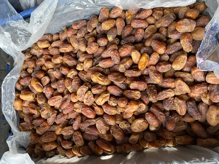 تمر خلاص نظيف 1