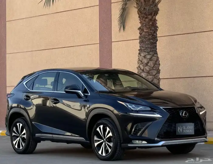 جيب اكسز nx300 2021 5