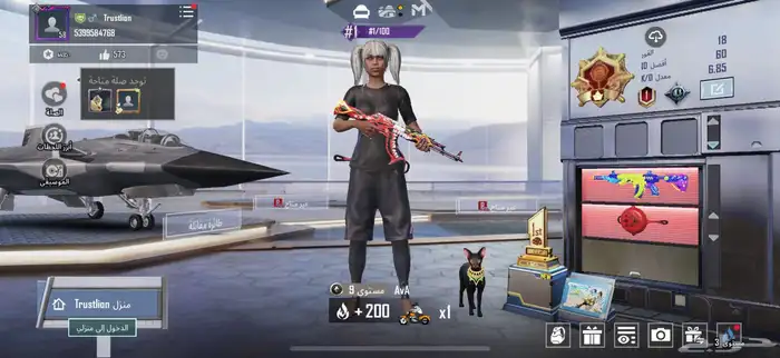 حساب ببجي للبيع 11