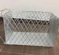 مصيده قطط 1