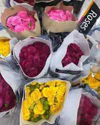 ورد بالجمله 2