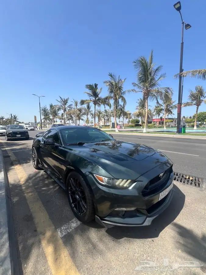 موستنق GT 2016 5
