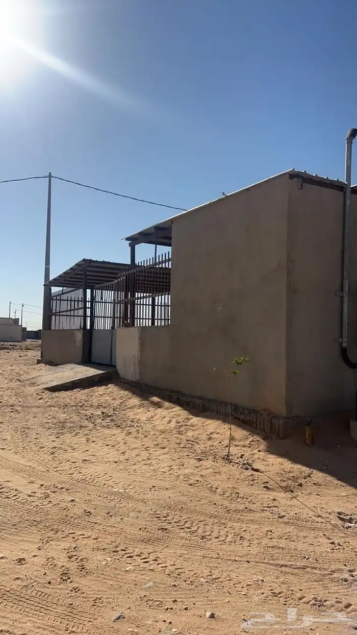 لللبيع شبك غنم جاهز في سوق البل وادي الدواسر 4