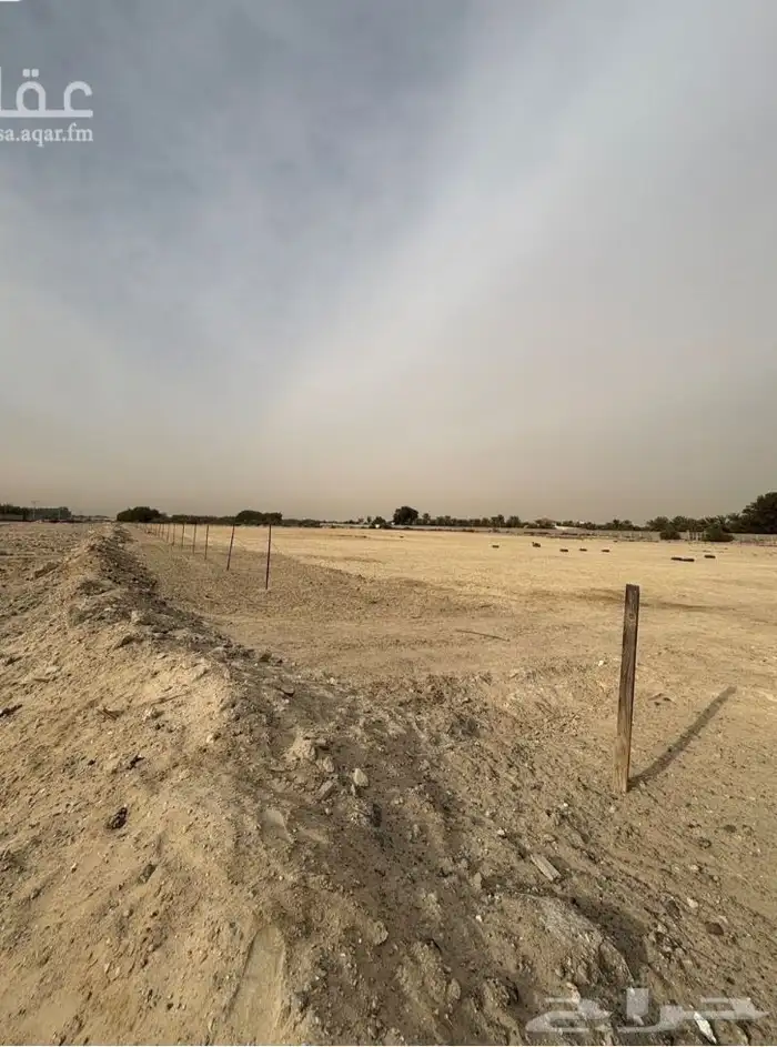 مزارع الايجار طريق الجبيل الظهران 2