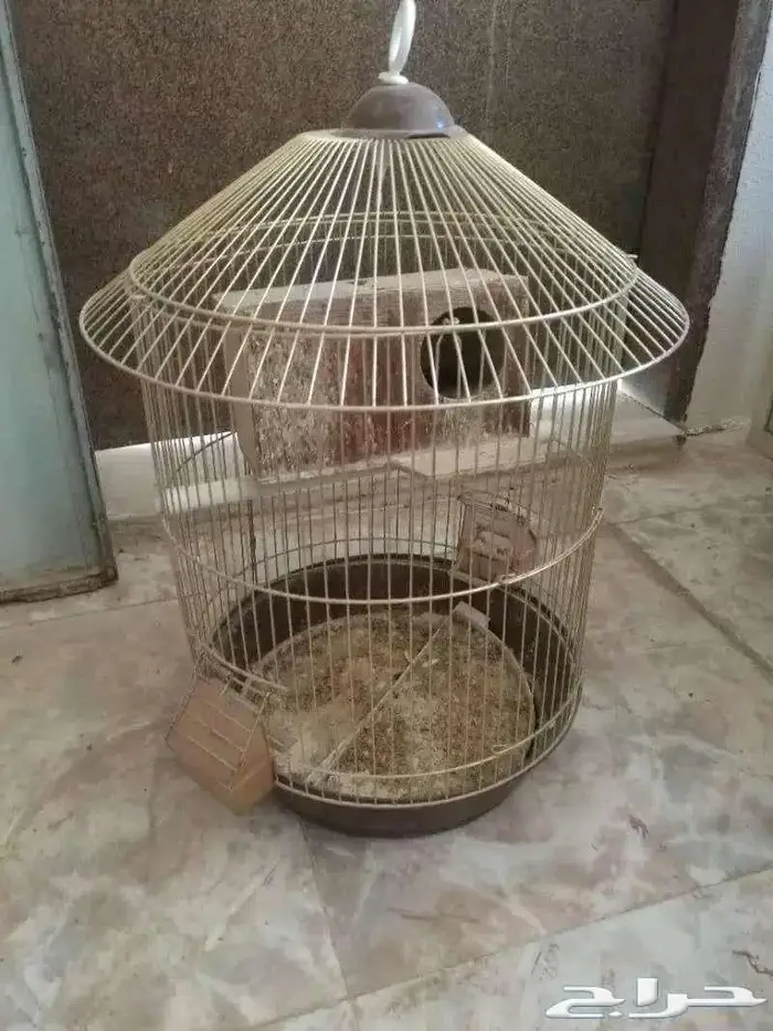 قفص طيور للبيع 0