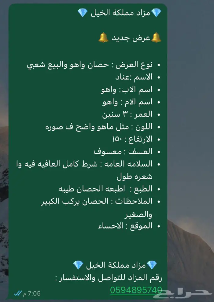 خيل 0