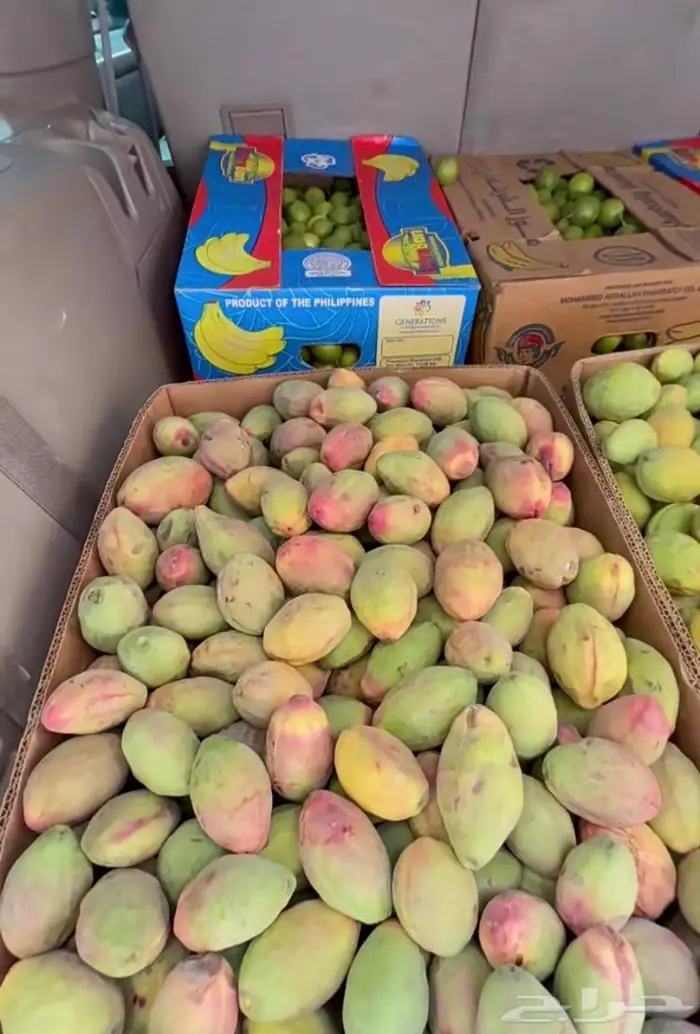 لوز شي ممتاز وحبته شي حلو ويوجد توصيل 1
