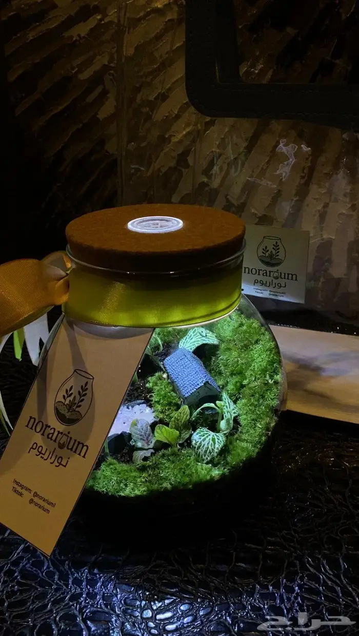 اسوي هدايا تيراريوم  أرقى من الورد ويعيش أطول 0