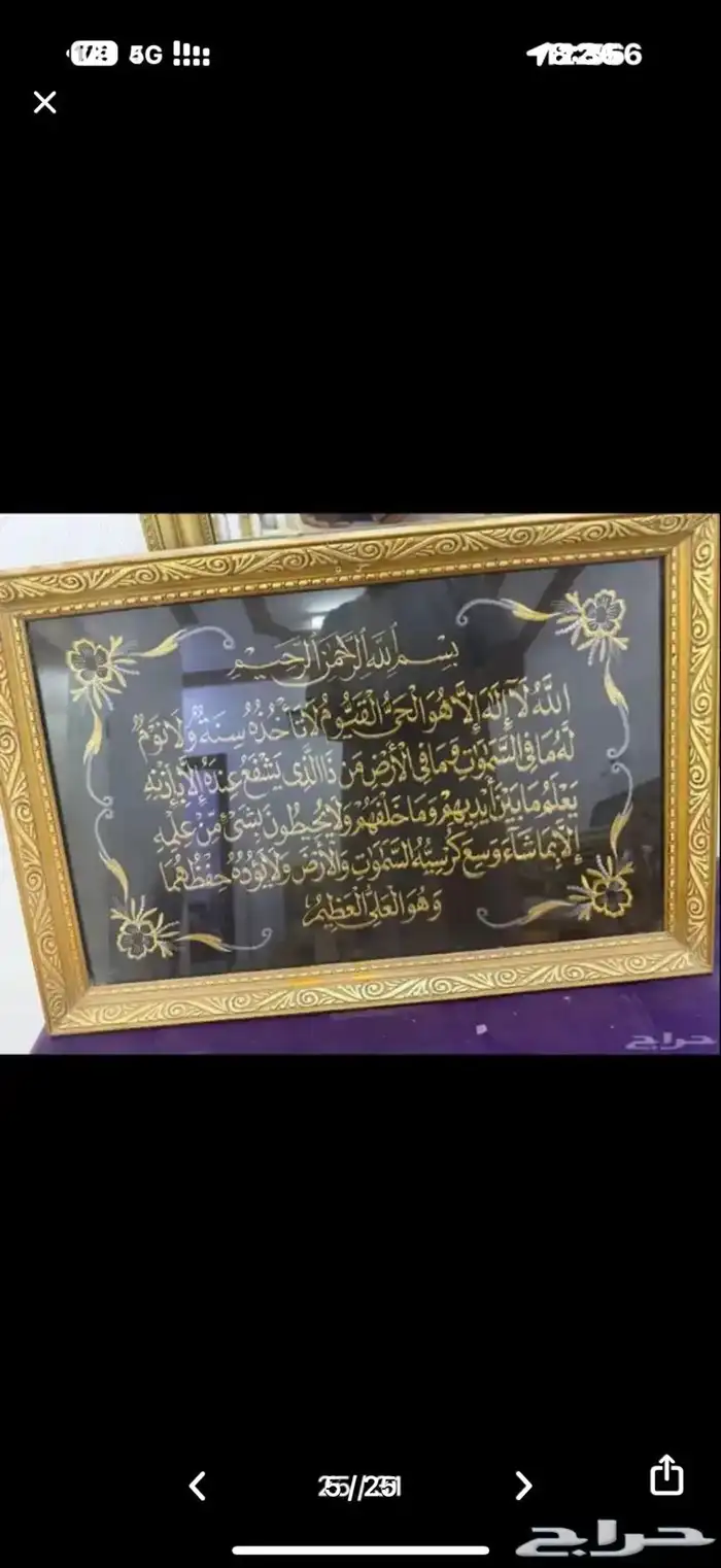 للبيع لوحات جداريه وشاشتين بلازما 19