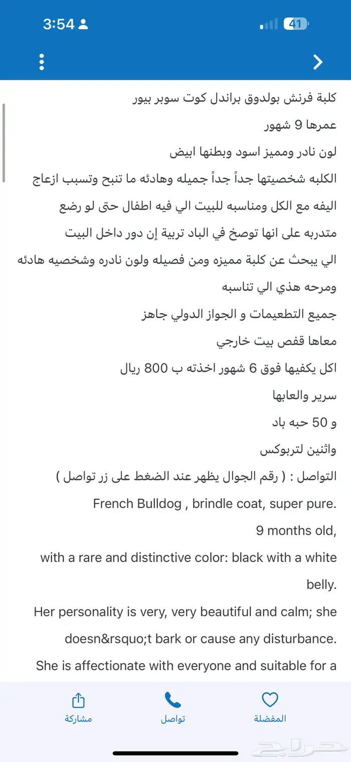 كلاب 3