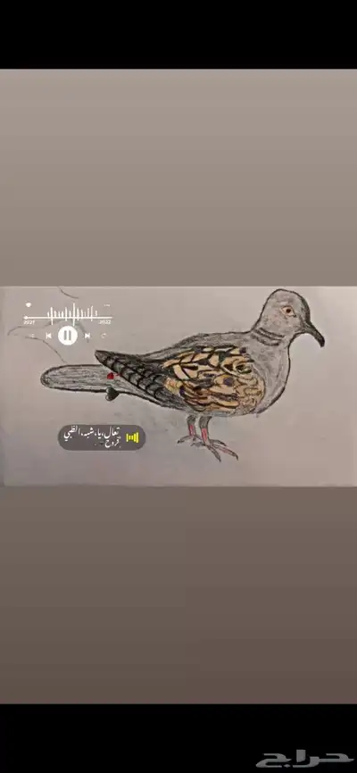 صور  قمري 0