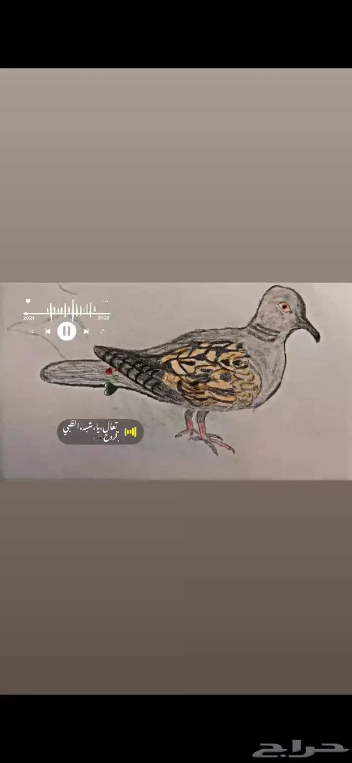 صور  قمري 0