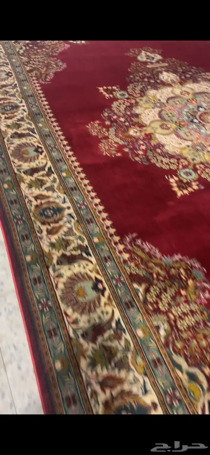 زل بلجيكي نادره 2