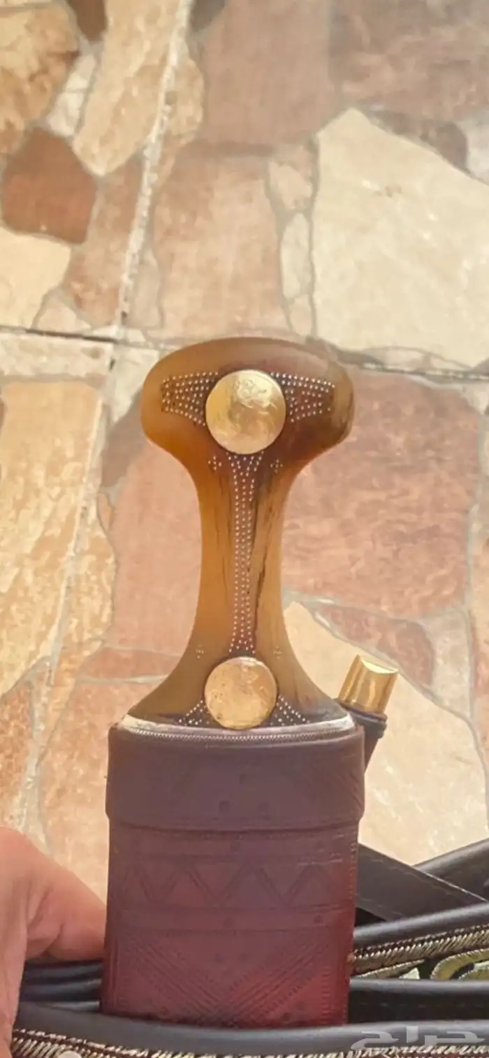 جنبية زراف صاافي 2